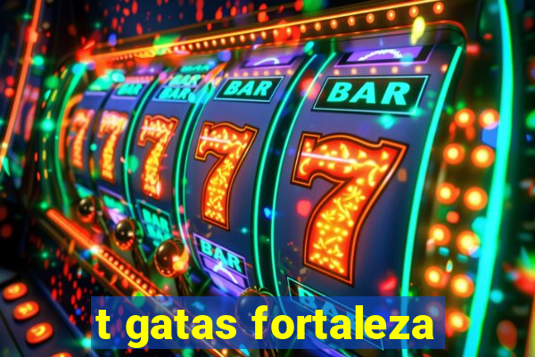 t gatas fortaleza